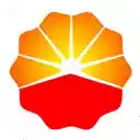中国石油软件