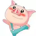 猪猪影视vip版