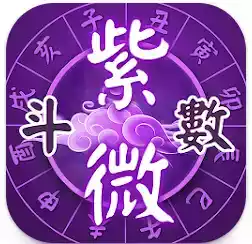 紫微斗数排盘软件app