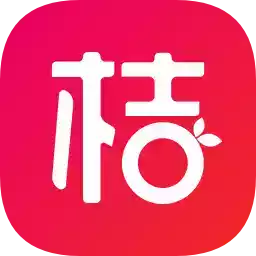 桔子分期借款app