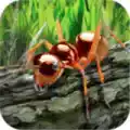 蚂蚁模拟器3d破解版