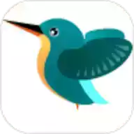 kingfisher软件