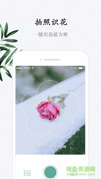 识花君小程序app