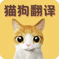 猫语翻译宝